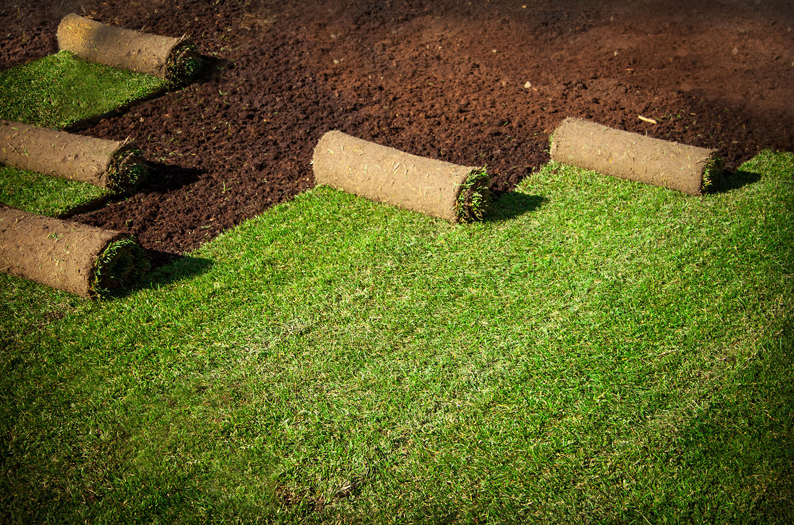 Rollrasenverlegung im Garten